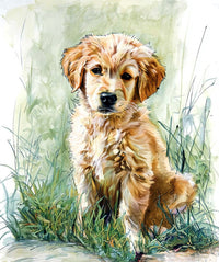 Water Colour character