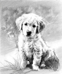 Charcoal